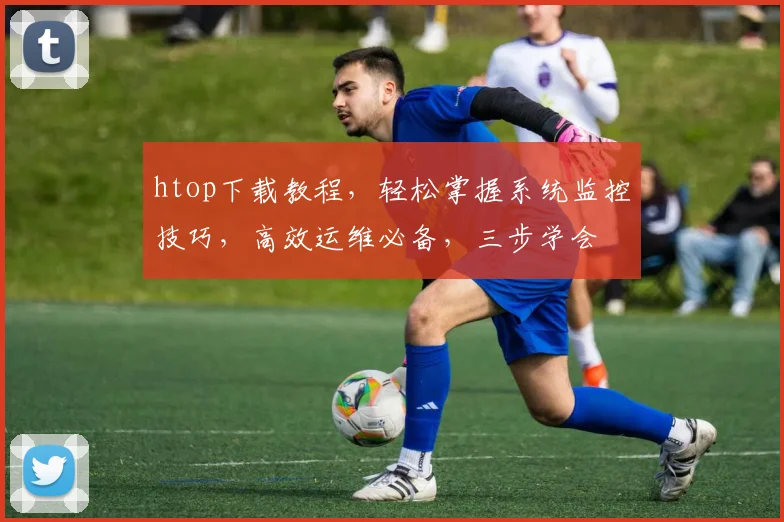 htop下载教程，轻松掌握系统监控技巧，高效运维必备，三步学会