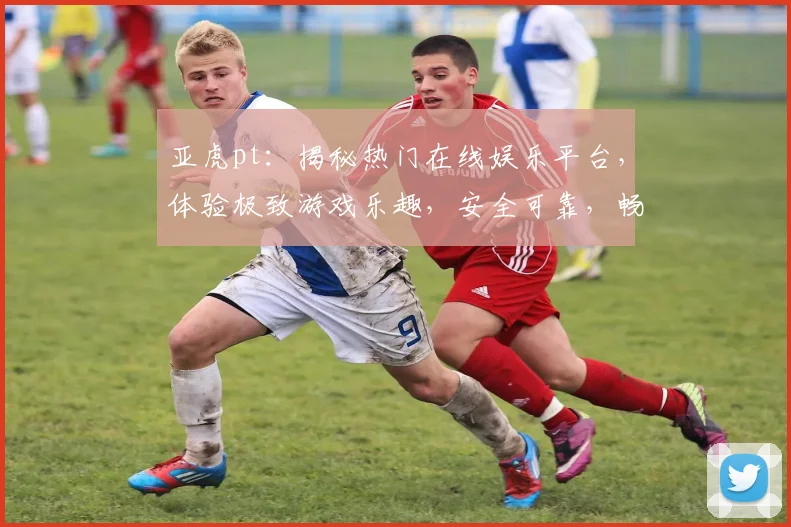 亚虎pt：揭秘热门在线娱乐平台，体验极致游戏乐趣，安全可靠，畅玩无忧，值得信赖