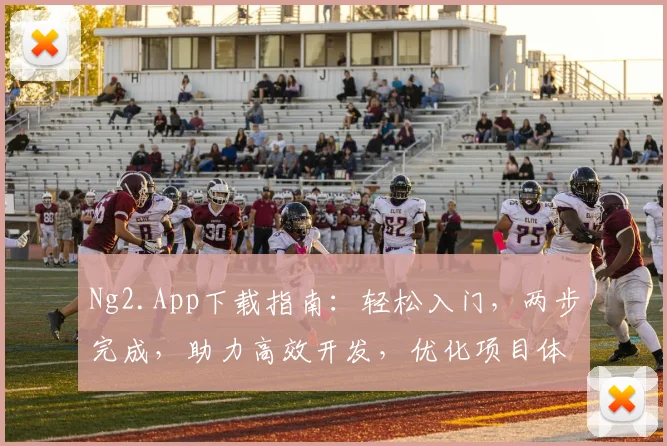 Ng2.App下载指南：轻松入门，两步完成，助力高效开发，优化项目体验