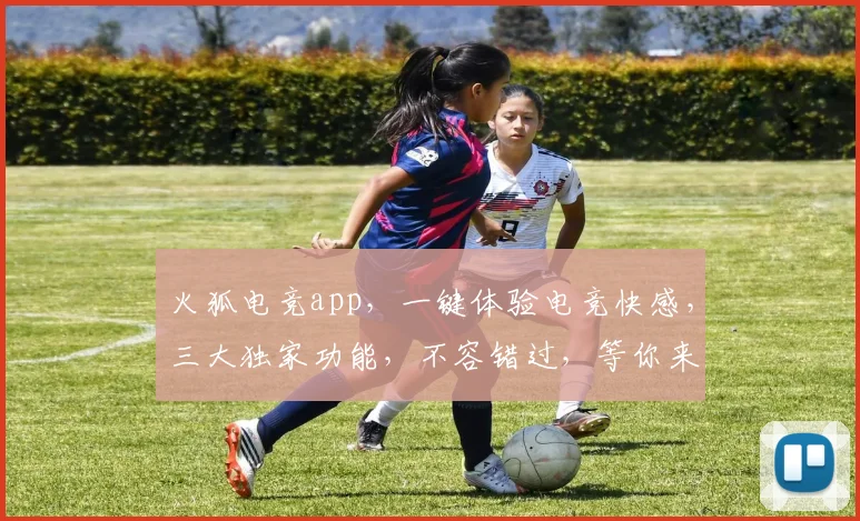 火狐电竞app，一键体验电竞快感，三大独家功能，不容错过，等你来挑战