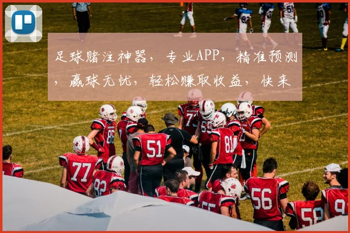 足球赌注神器，专业APP，精准预测，赢球无忧，轻松赚取收益，快来体验